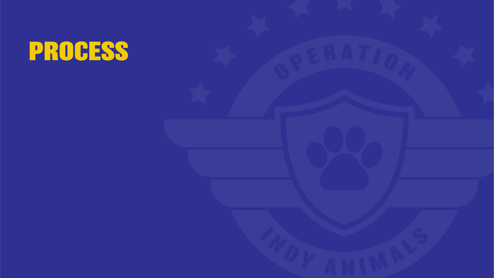 Operation Indy Animals, Executive Summary slide 2