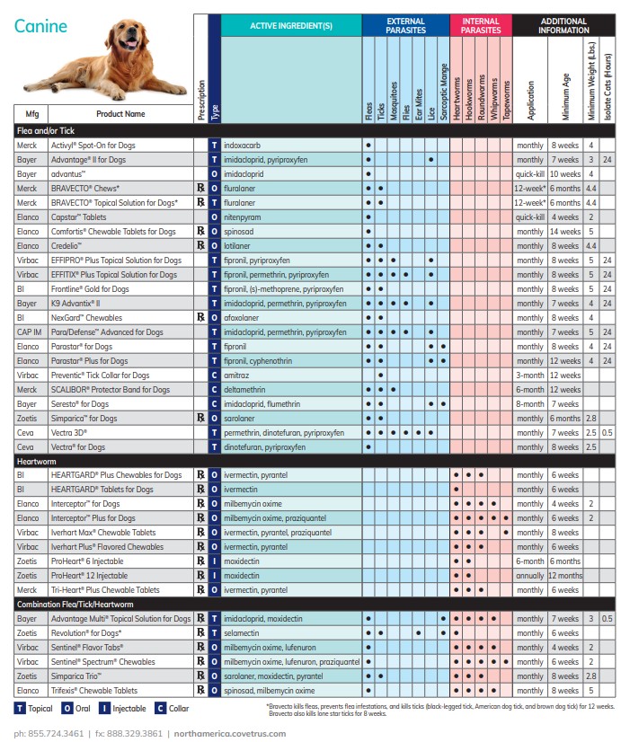 dog chart