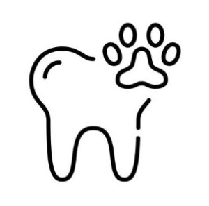 Dental Health